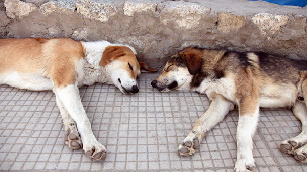 IMG_8883